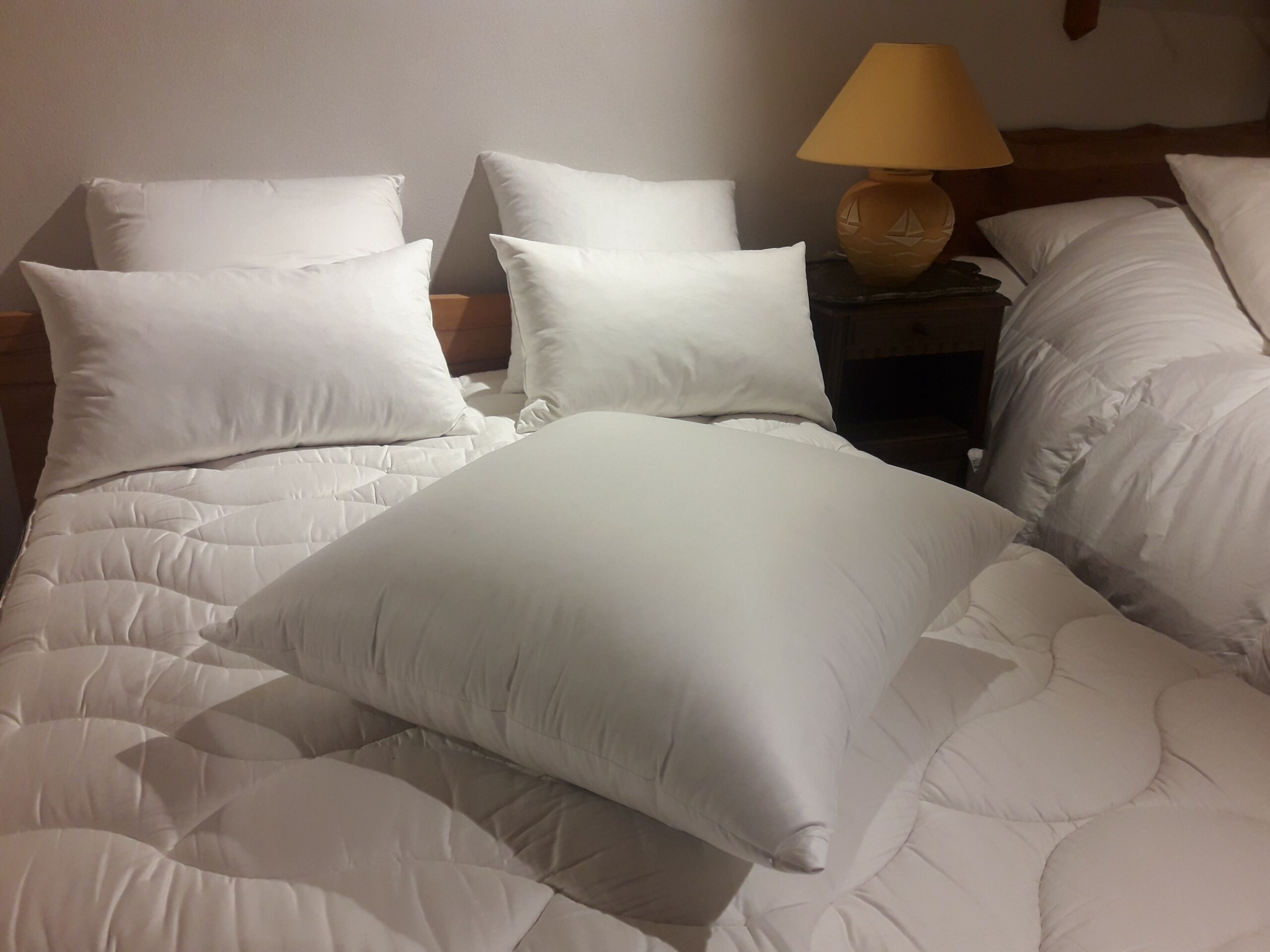Oreiller 60x60 Cm – 30% Duvet, 70% Plumettes – Confort Hôtelier, Fabriqué En Bourgogne – Enveloppe Coton Oeko-Tex