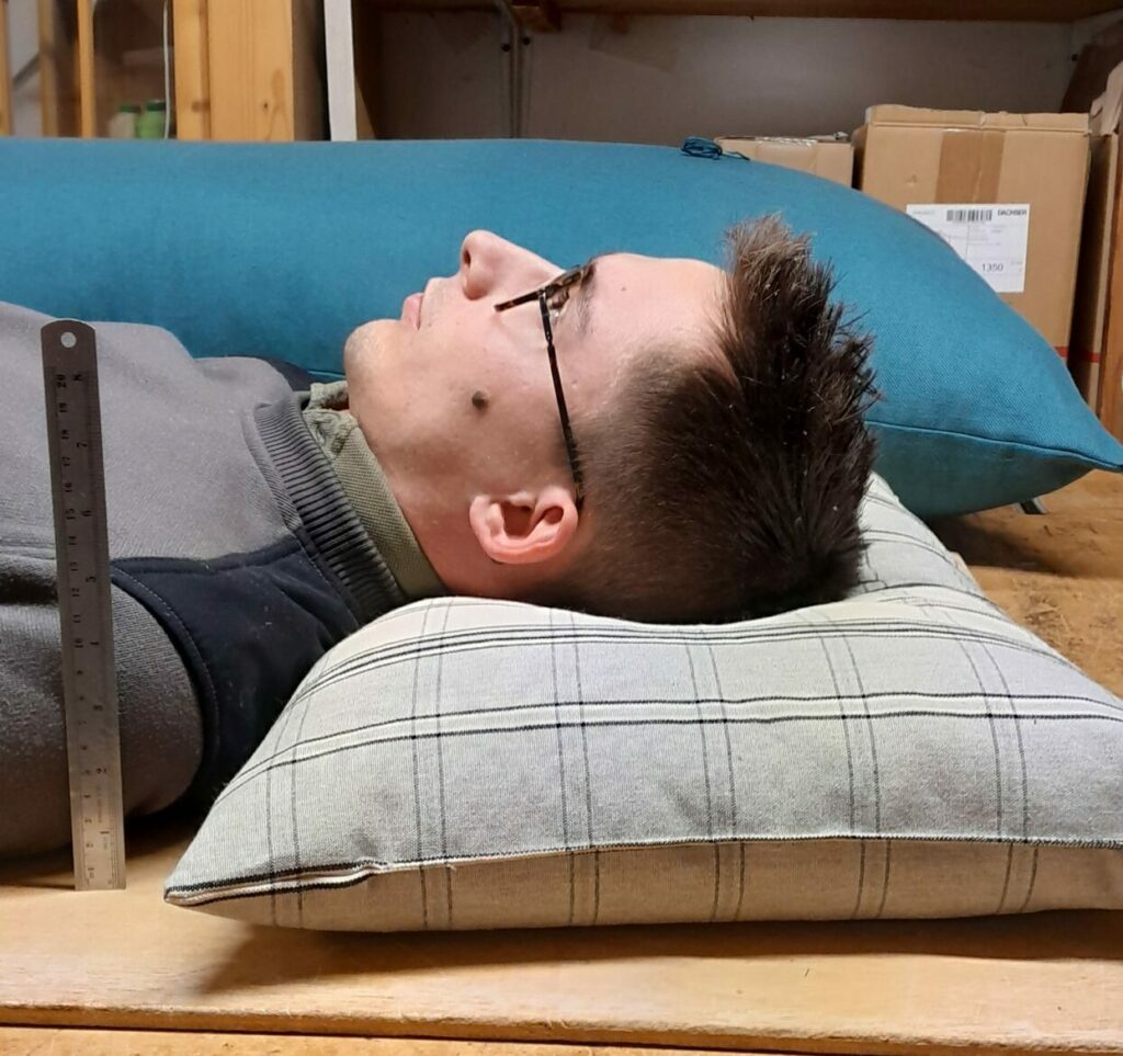 oreillers en balles d'épeautre bio