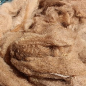 travail des fibres animales pour la literie matelas et oreiller en alpaga