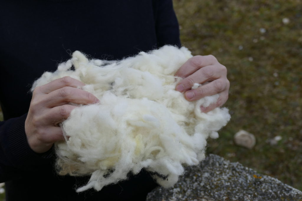 Laine de mouton pour fabrication de literie naturelle