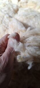 Fibres naturelles pour garnissage literie fibre respirante