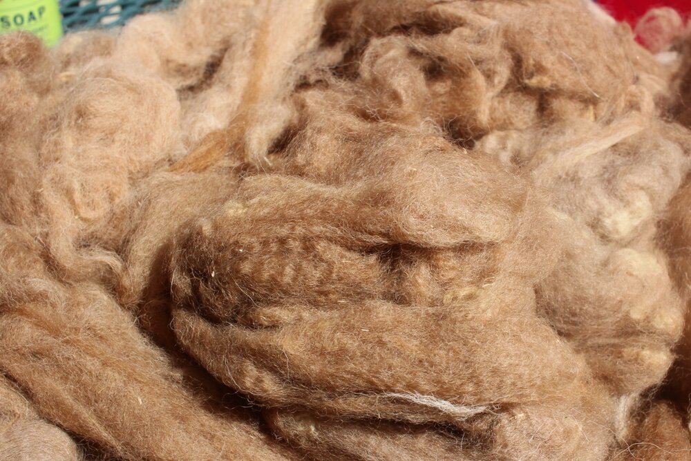 fibres naturelles pour garnissage oreiller - Alpaga
