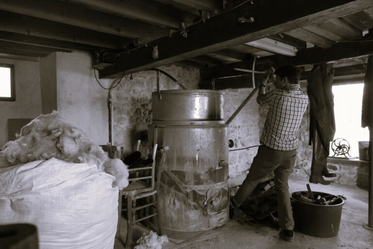 j'irai dormir chez cardelaine immersion dans les ateliers