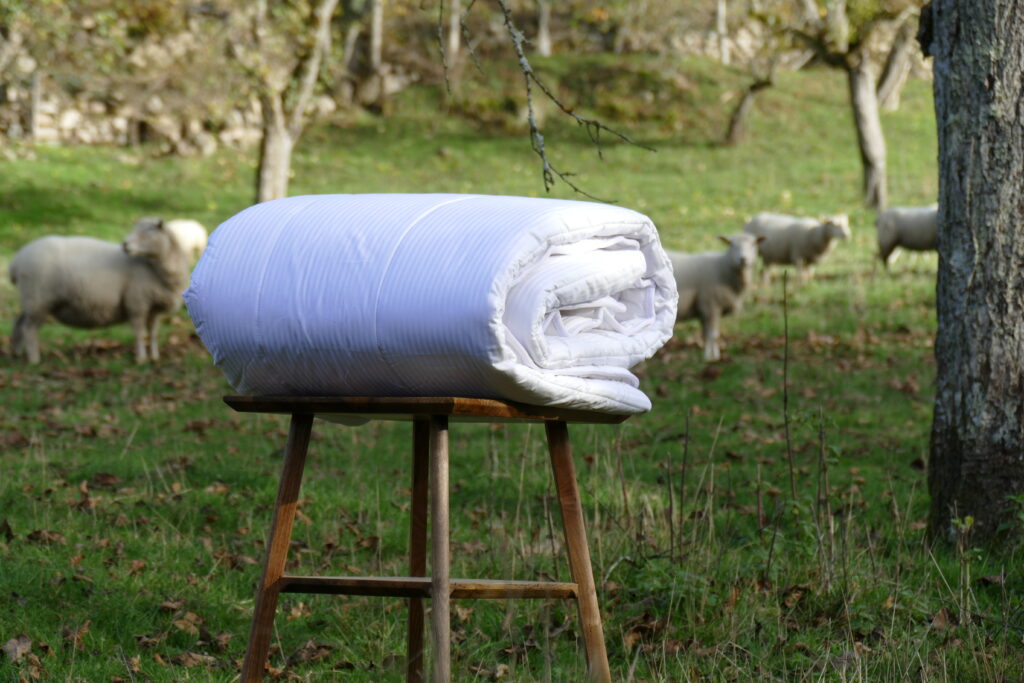 la laine naturelle cardelaine pour la fabrication des matelas en laine et des couettes en laine