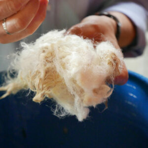 Fabrication de matelas en laine Cardelaine Laine lavée sans produits chimiques