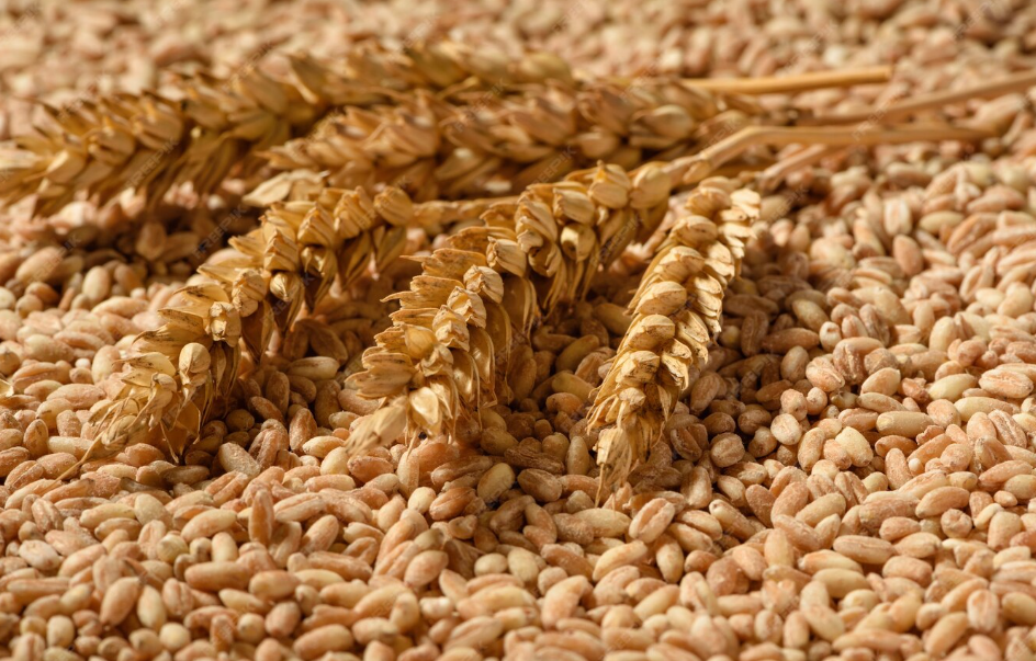 rembourrage-oreiller-balles-epeautre-bio-cardelaine