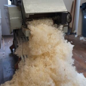 Artisan cardant de la laine naturelle à la main pour préparer les fibres d'un matelas en laine – Cardelaine