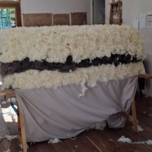 Répartition et égalisation à la main de la laine naturelle cardée pour garantir l'épaisseur uniforme du matelas – Cardelaine