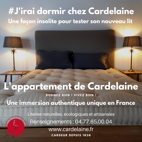 _appartement cardelaine ss